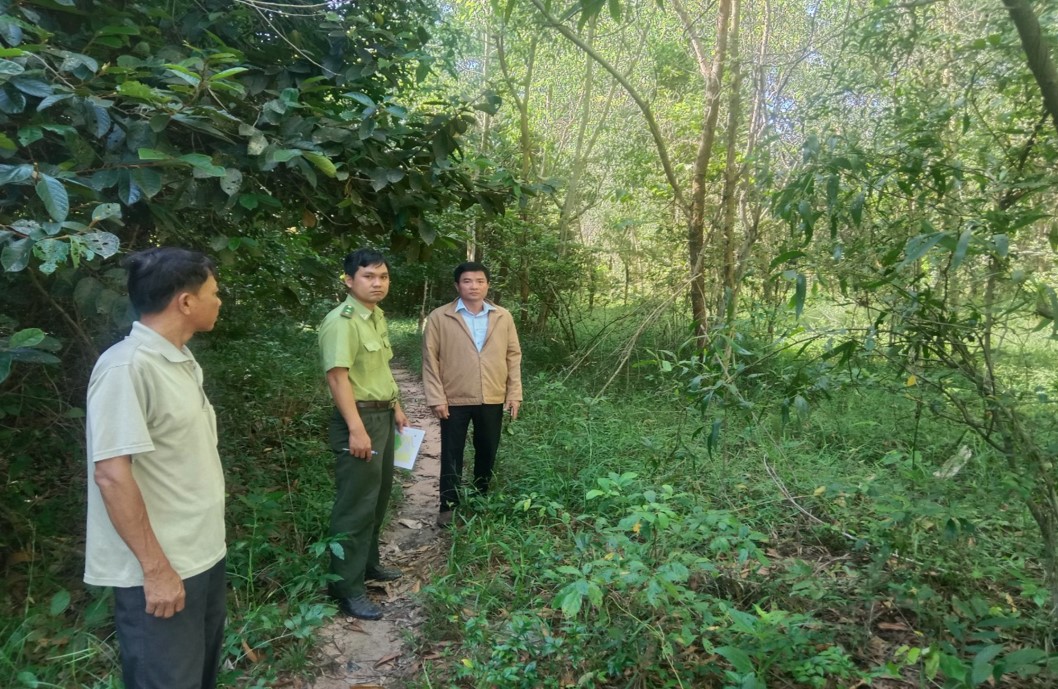 Kiểm tra, hướng dẫn người dân thực hiện phương án khai thác rừng trồng sản xuất trên địa bàn xã Ninh Điền, huyện Châu Thành.